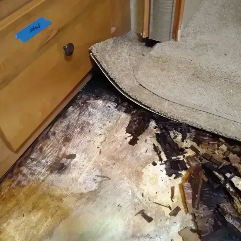 Wood Floor Water Damage in Jasper County, TX